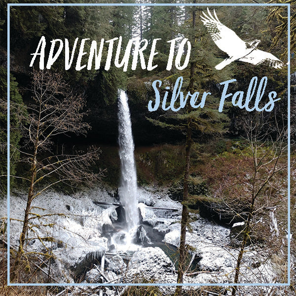 Adventure to Silver Falls