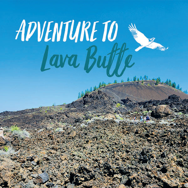 Adventure to Lava Butte
