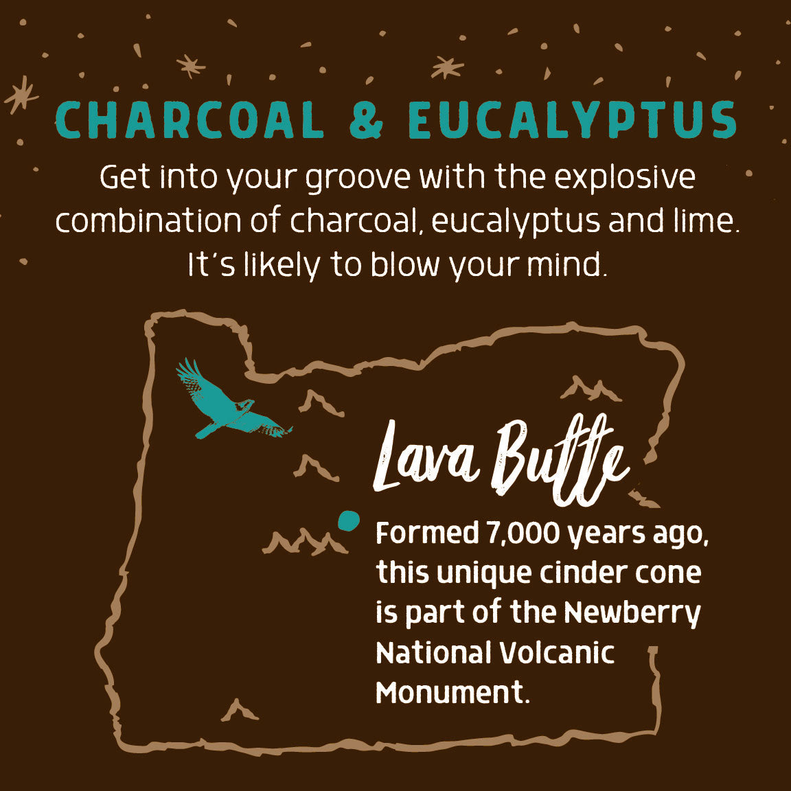 Lava Butte Charcoal, Eucalyptus & Lime | Bar Soap | Purifying for Clear, Healthy Skin