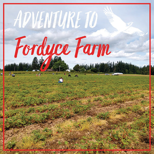 Adventure to Fordyce Farm