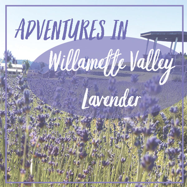 Adventures in Willamette Valley Lavender
