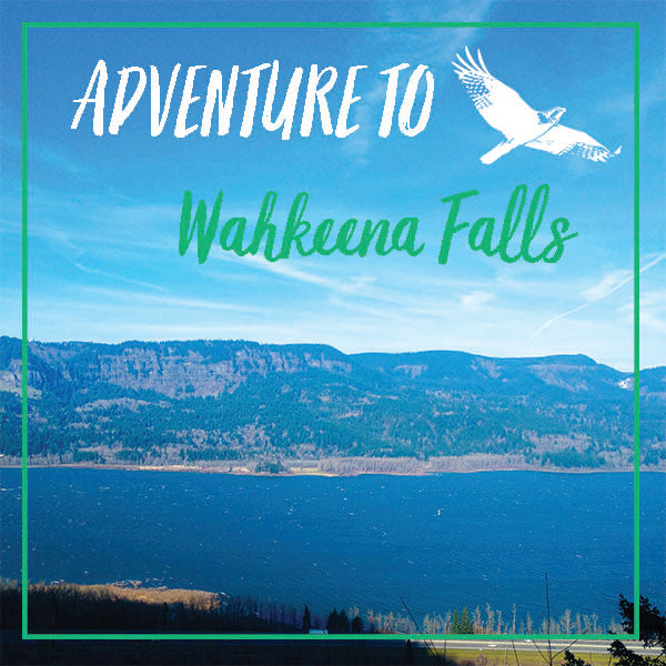 Wahkeena Falls