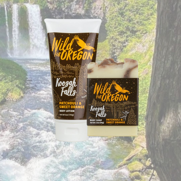 Koosah Falls - Wild for Oregon
