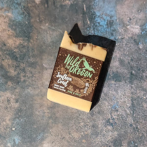Fall Favorites Hand and Body Soap